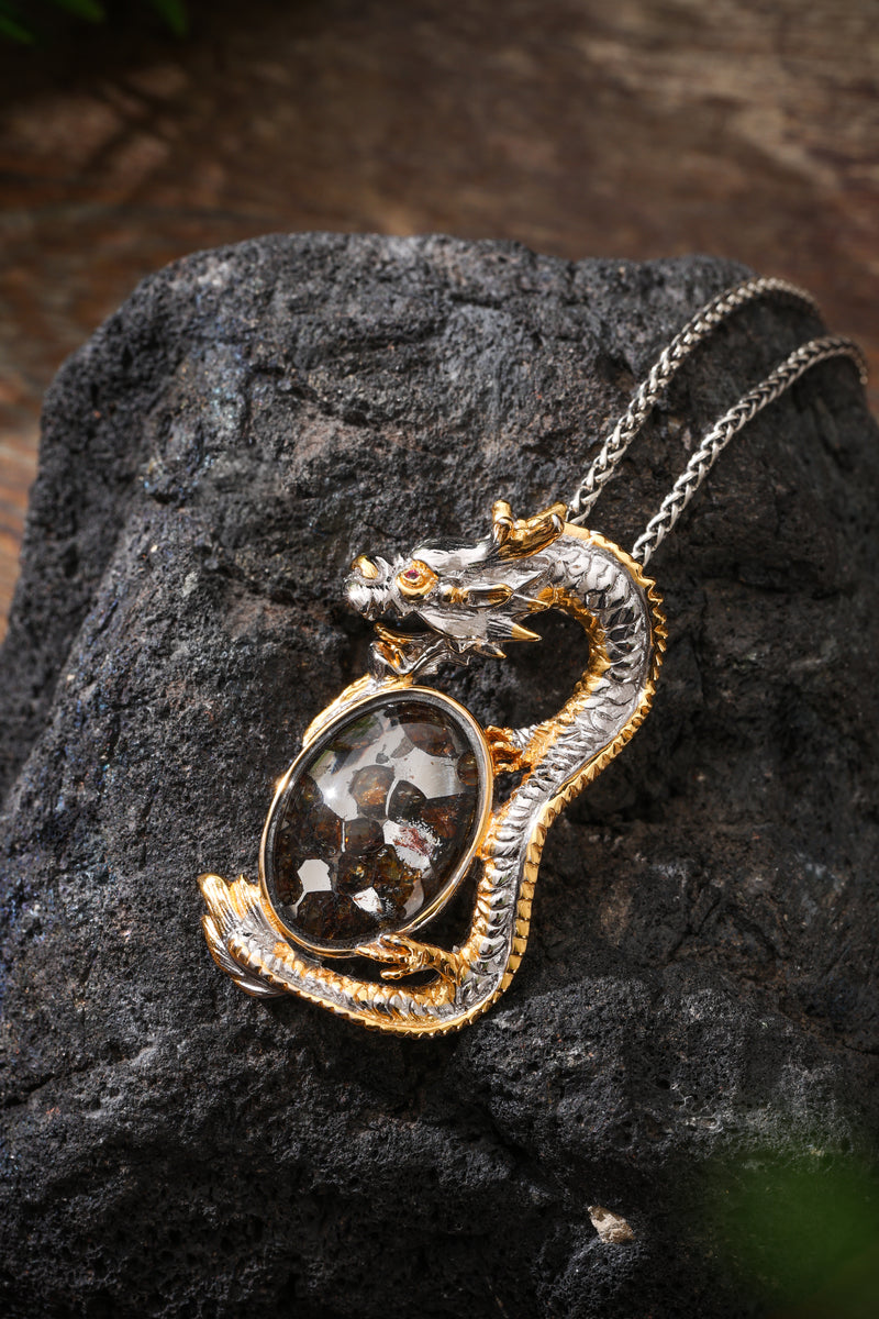 Two-Tone Sterling Silver Dragon & Pallasite Meteorite Pendant Buddha Trace